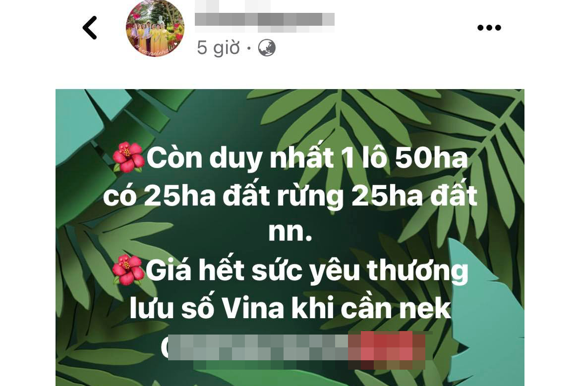 nhuc nhoi tinh trang mua ban dat rung o gia lai hinh 1