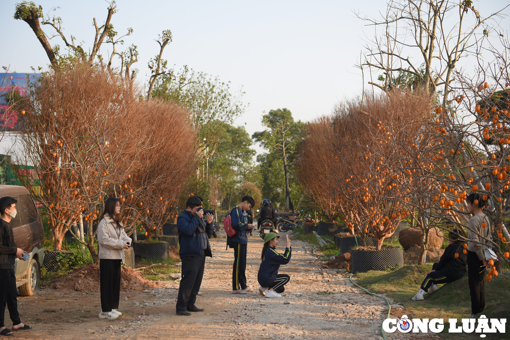 du khach do xo toi check in tai con duong hong chin vang ruc tai ha noi hinh 1