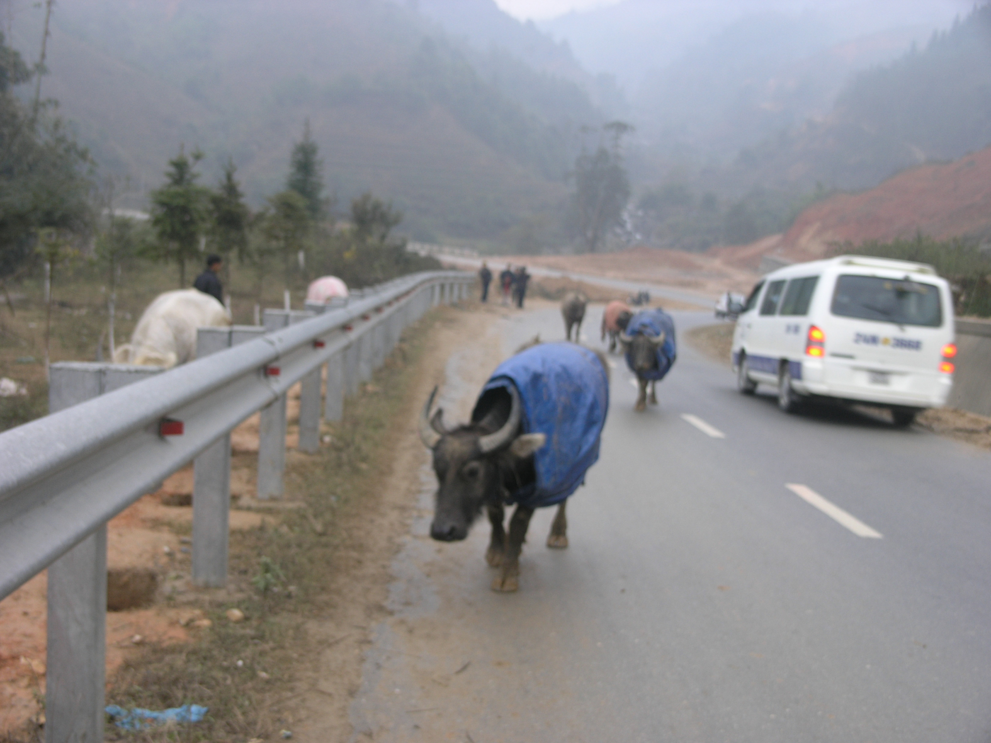 sa pa lanh 2 do c suong muoi phu trang nui hoang lien hinh 2