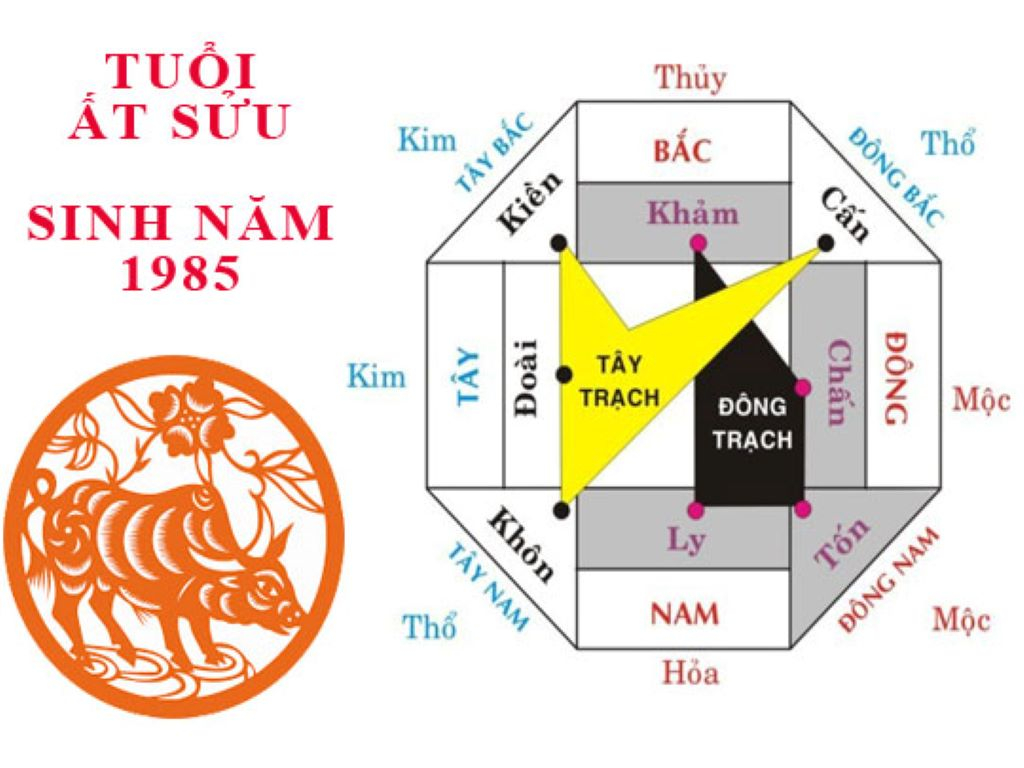 huong nha hop phong thuy cho tuoi at suu 1985 hinh 1