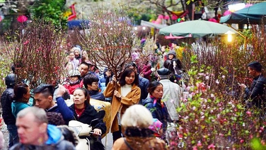 ha noi to chuc 91 diem cho hoa xuan phuc vu tet nguyen dan hinh 1