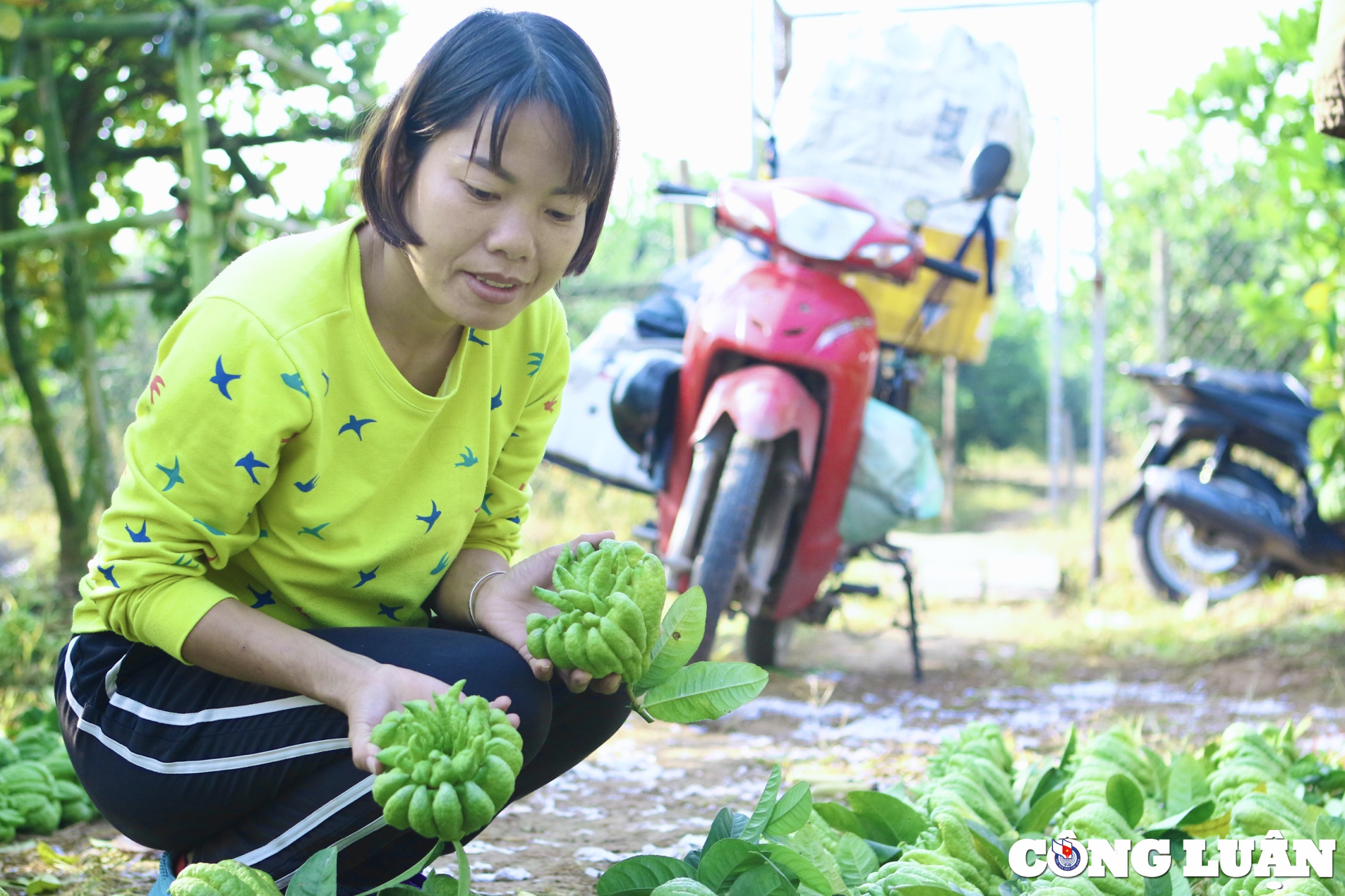 lang trong phat thu tat bat trong dip can tet nguyen dan 2023 hinh 10