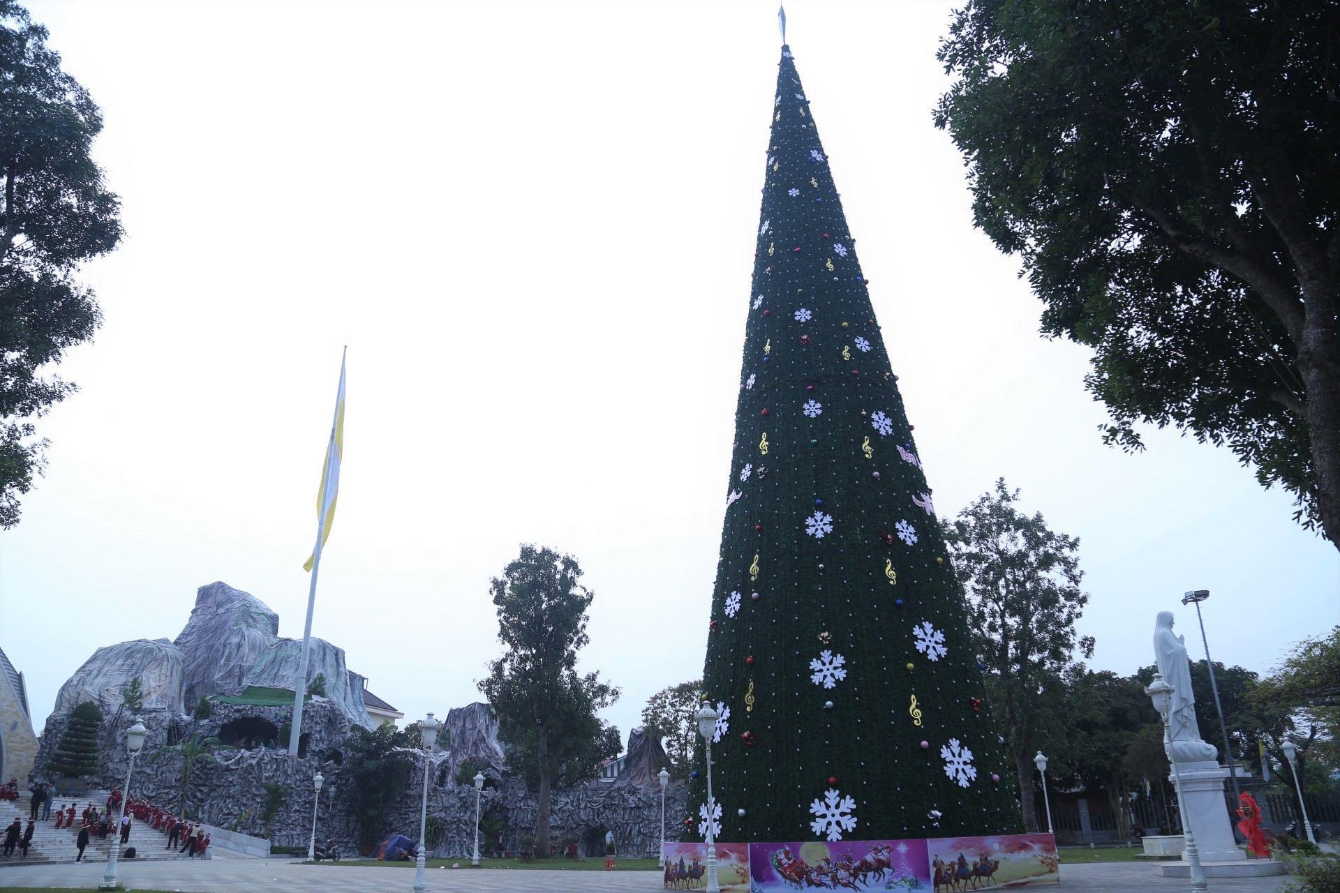 ngam cay thong noel khung o xu nghe hinh 2