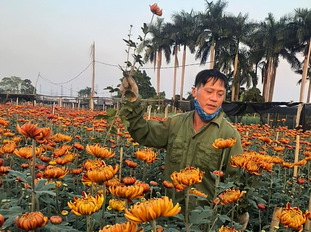 nguoi dan lang hoa tay tuu ky vong vao dip tieu thu hoa lon nhat trong nam hinh 3