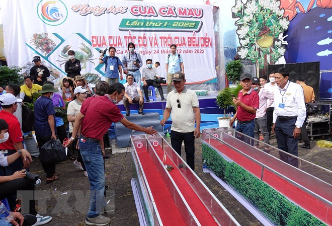 chu cua binh du gianh giai cua ca mau lon nhat hinh 2