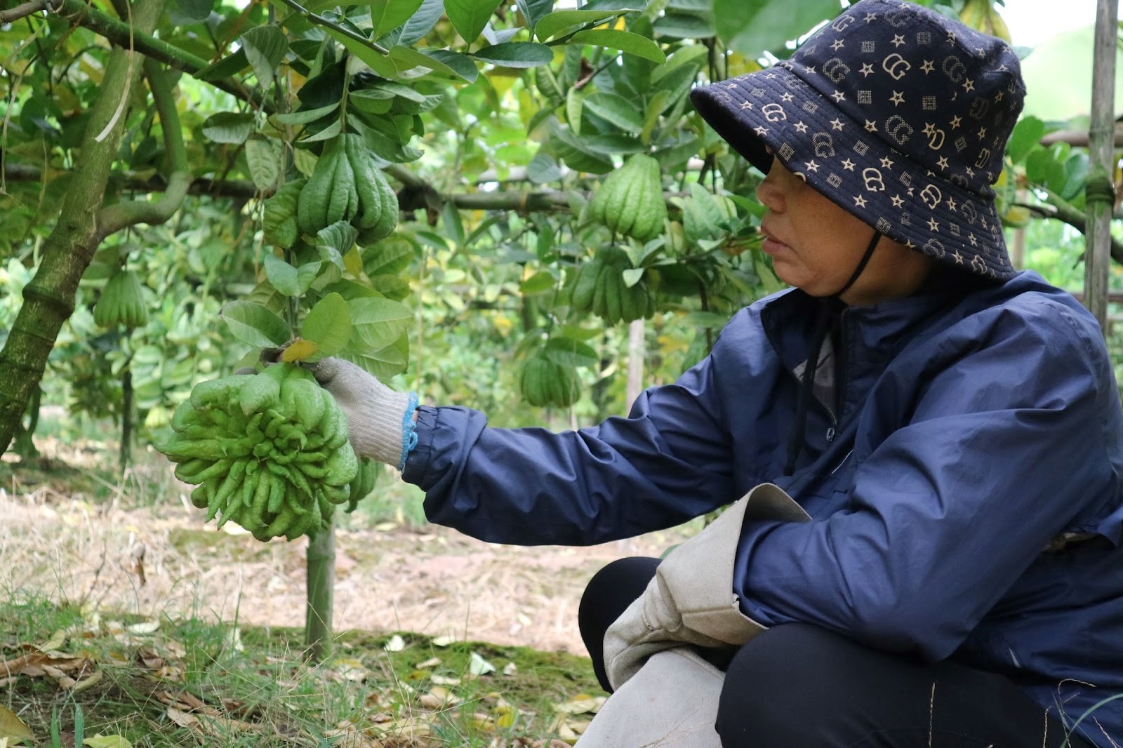 ha noi phat thu e am nong dan ngong khach ngay cuoi nam hinh 3