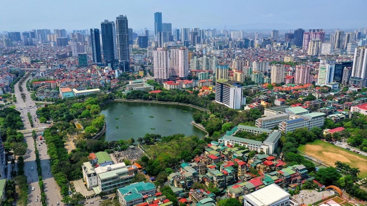 ha noi dau dau khat vong hoa rong hinh 1