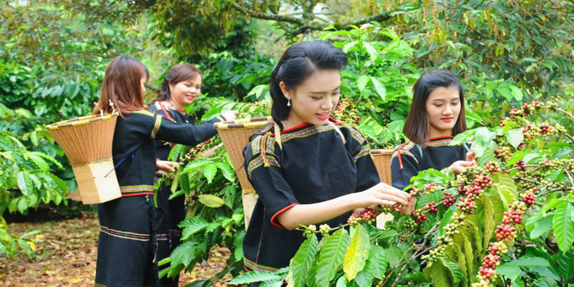 nhieu doan quoc te tham gia bieu dien tai le hoi ca phe buon ma thuot hinh 1