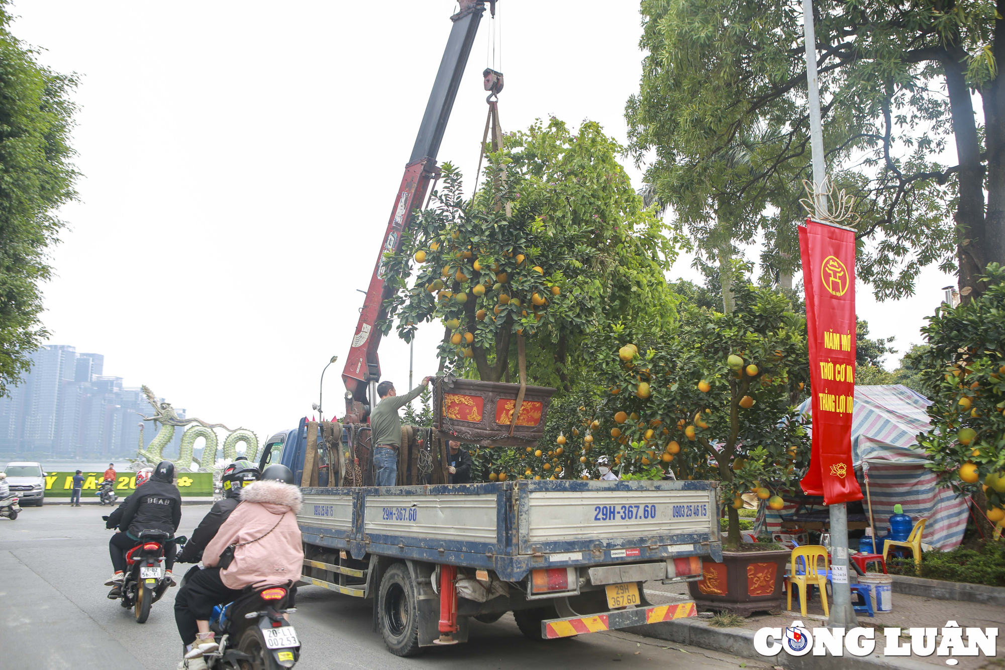 ha noi tra gia 90 trieu dong cho goc buoi co chu vuon nhat quyet khong ban hinh 9