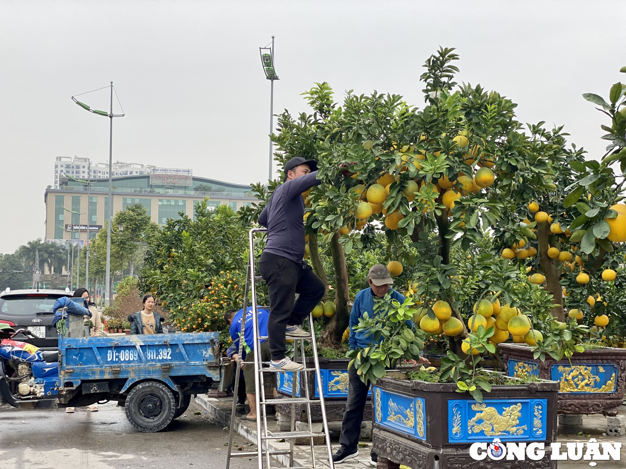 thanh hoa khong khi tet da ron rang tren nhieu tuyen pho hinh 6