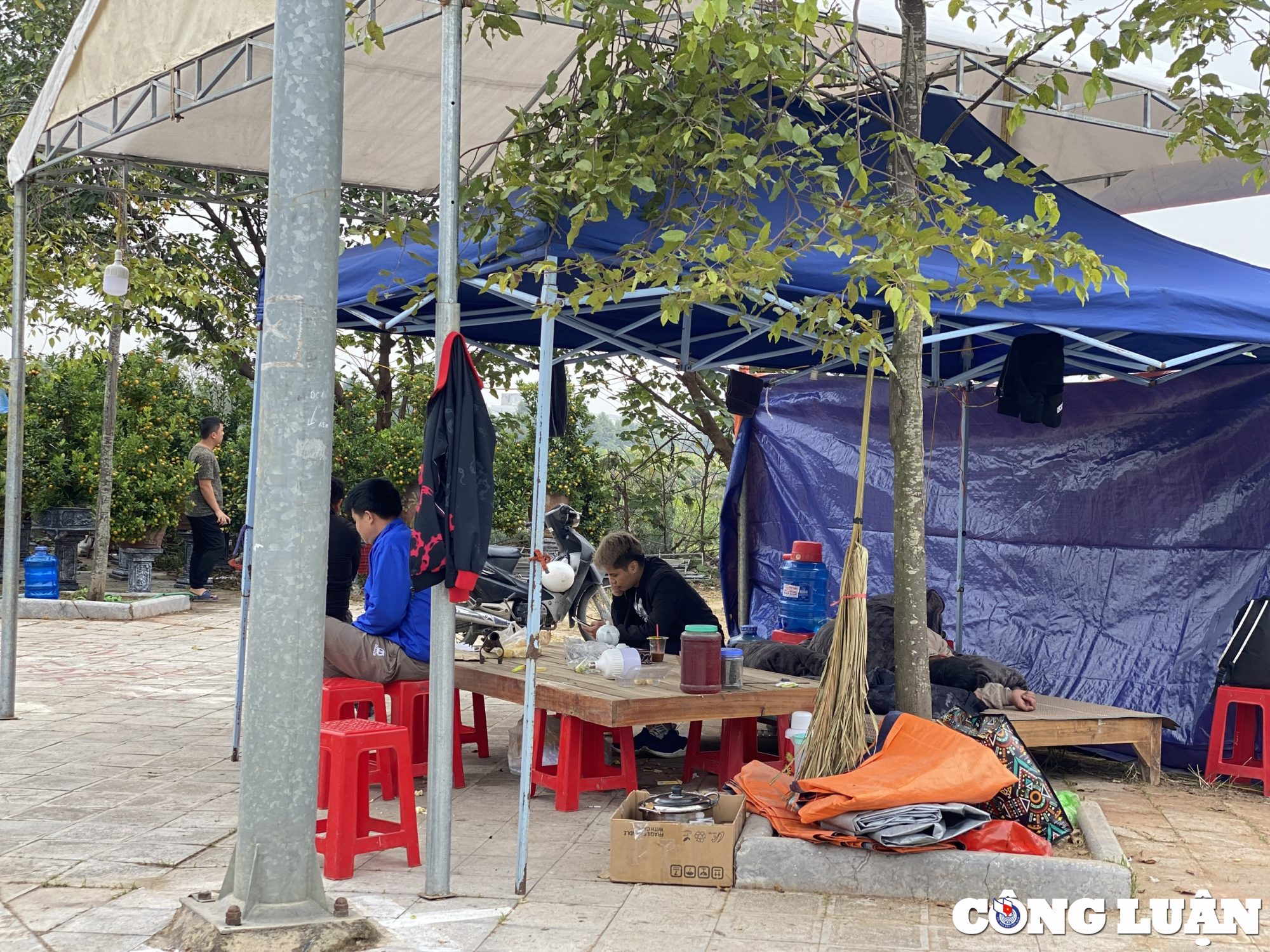 thanh hoa khong khi tet da ron rang tren nhieu tuyen pho hinh 8