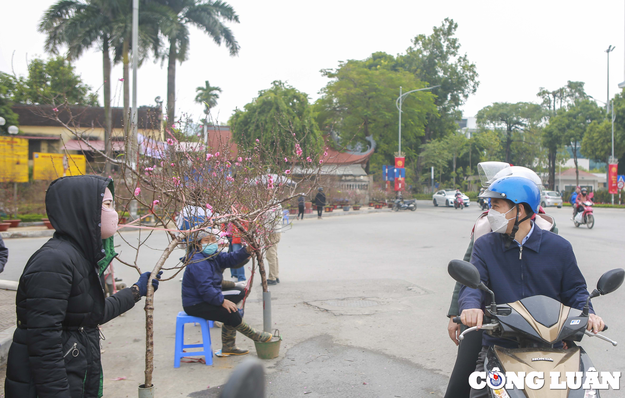 dao quat xuong pho phuc vu nguoi dan choi tet 2023 hinh 5