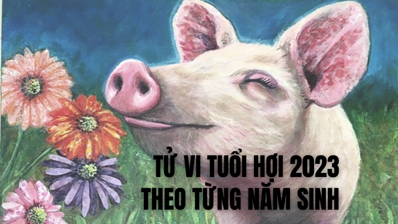 tu vi 2023 tuoi hoi theo tung nam sinh hinh 1