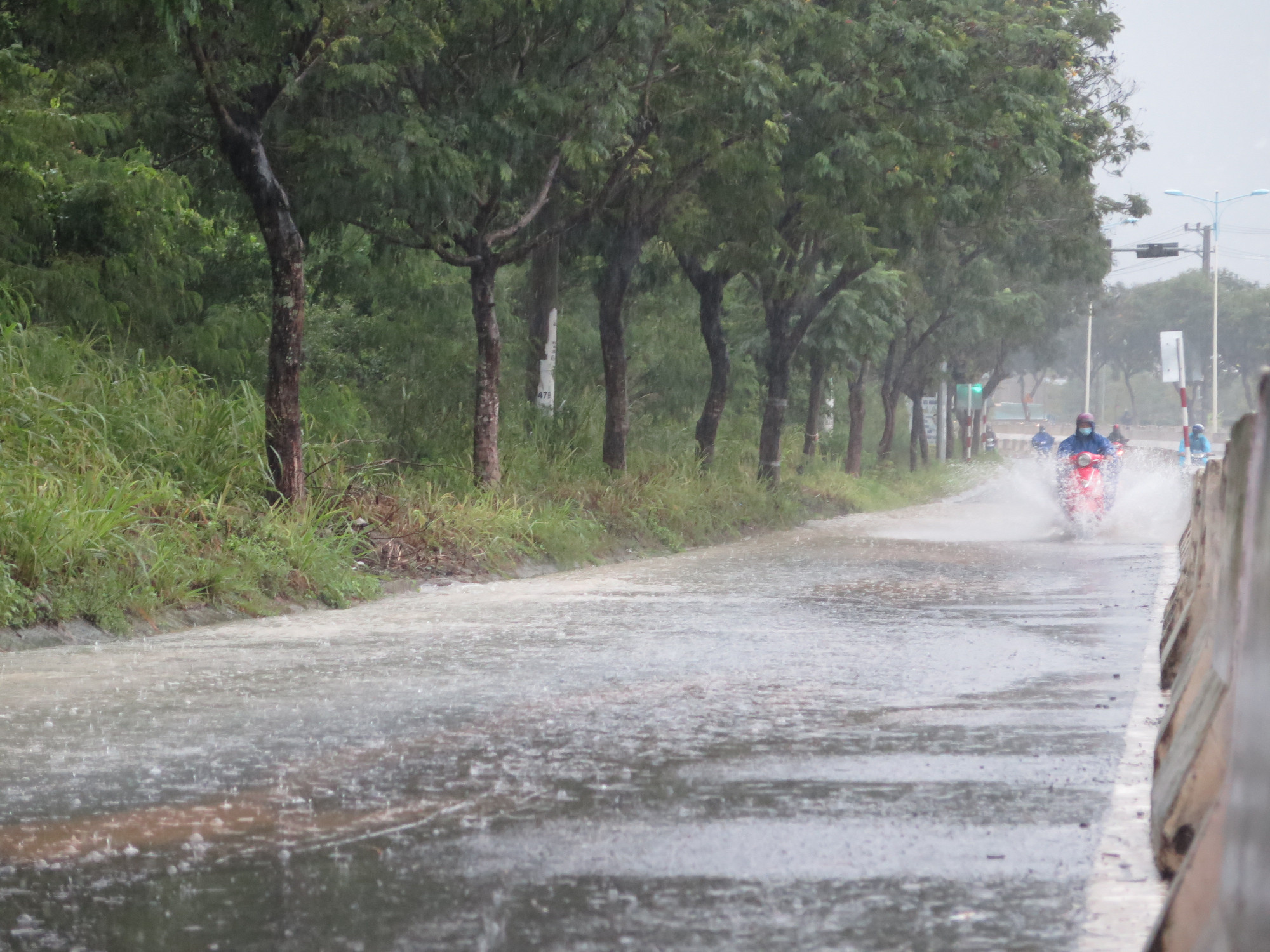 du bao thoi tiet 8 1 2023 mua lon tu quang tri den khanh hoa hinh 1