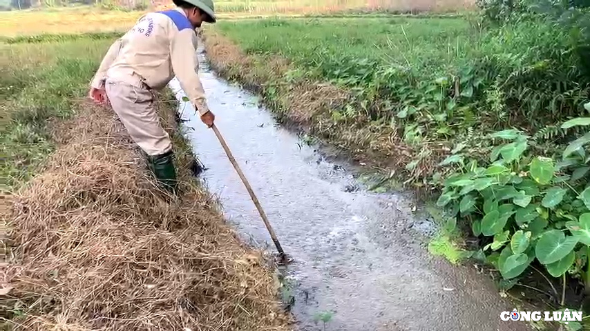 phu ninh phu tho nhieu trang trai chan nuoi xay dung trai phep tren dat rung hinh 5