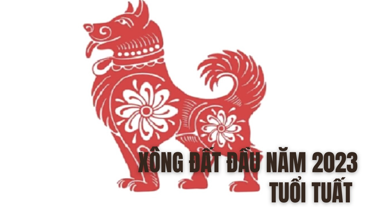 xem tuoi xong nha xong dat nam quy mao 2023 cho tuoi tuat hinh 1