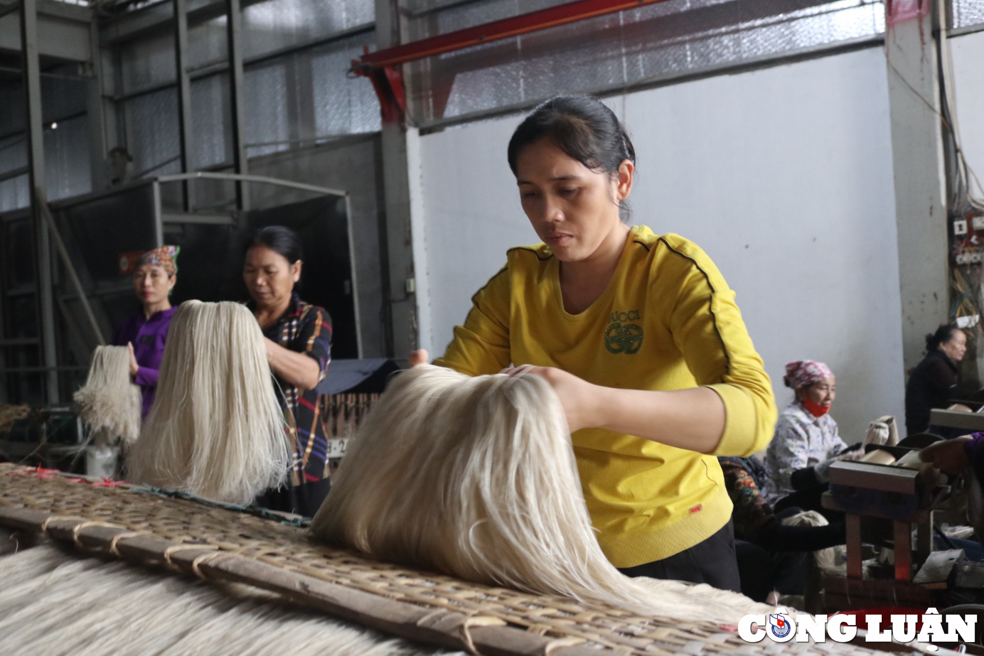 ha noi ve lang so kham pha quy trinh san xuat mien dong truyen thong hinh 9