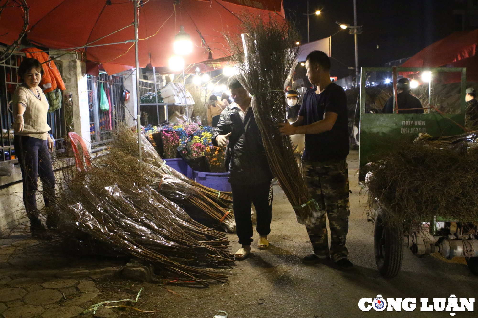 cho hoa quang ba nhon nhip nhung ngay can tet nguyen dan 2023 hinh 3