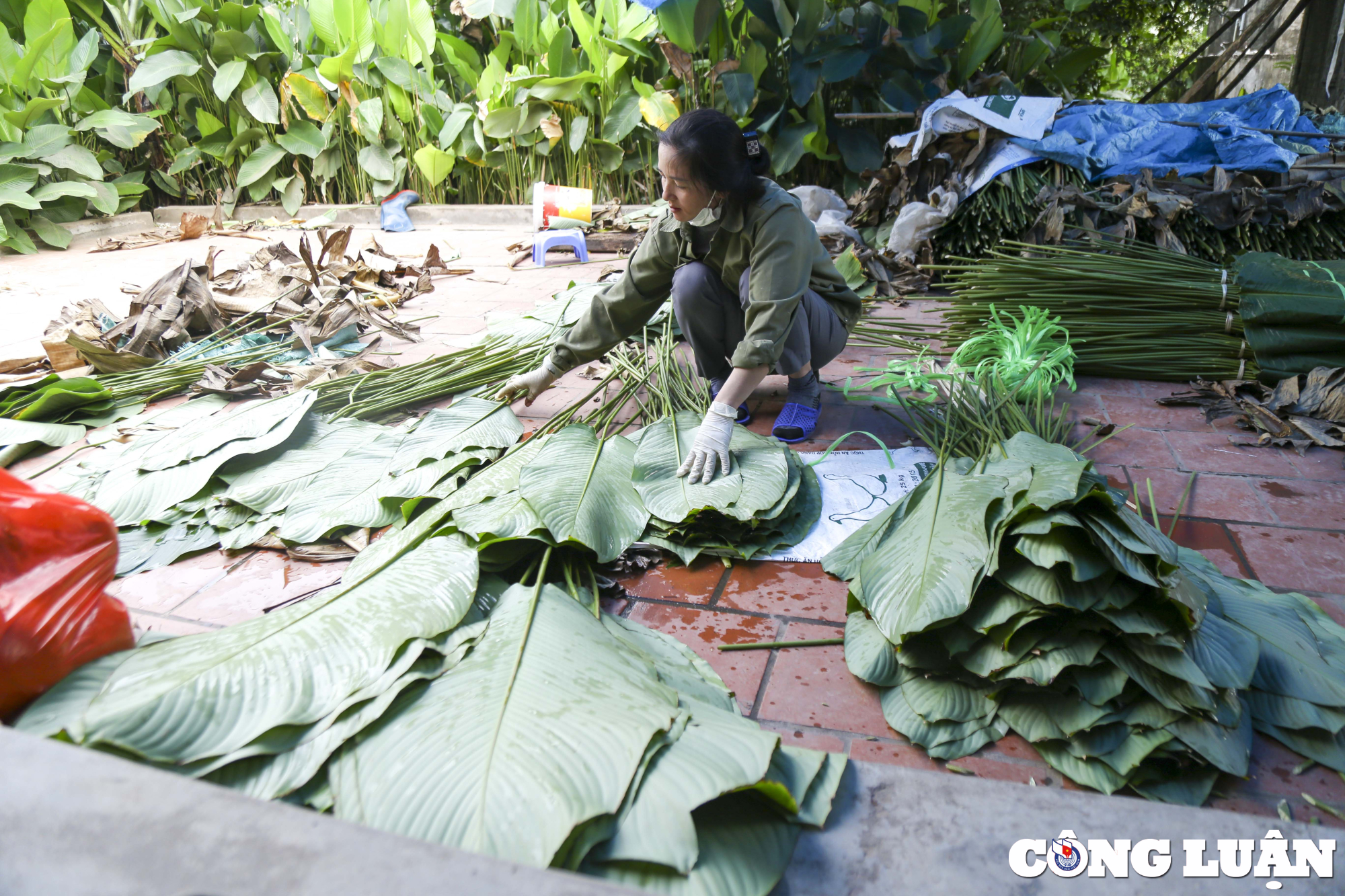 thu phu la dong mien bac nhon nhip ngay can tet hinh 6