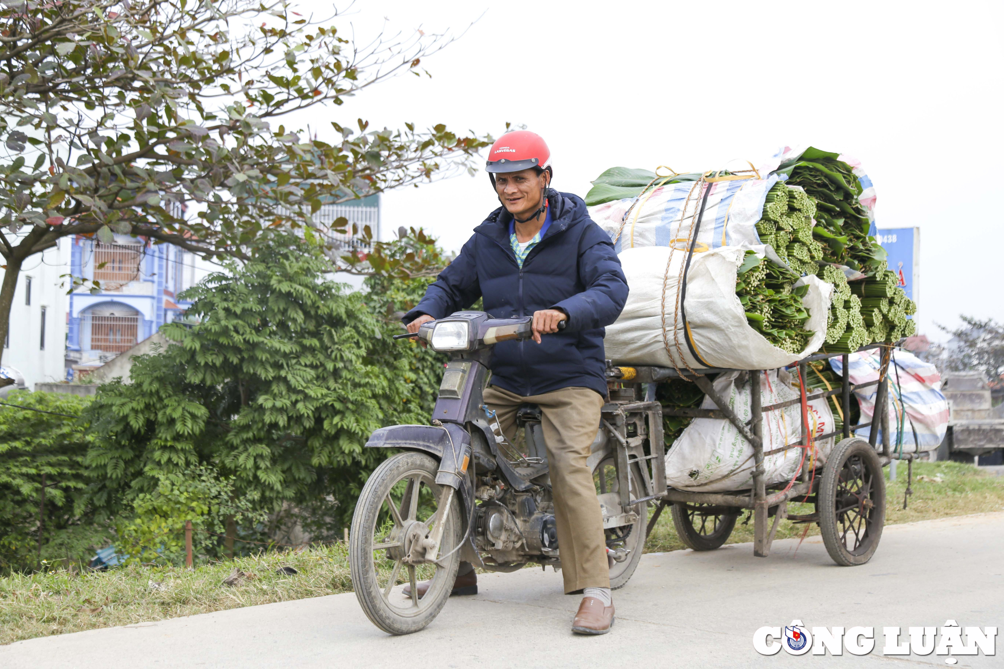 thu phu la dong mien bac nhon nhip ngay can tet hinh 8