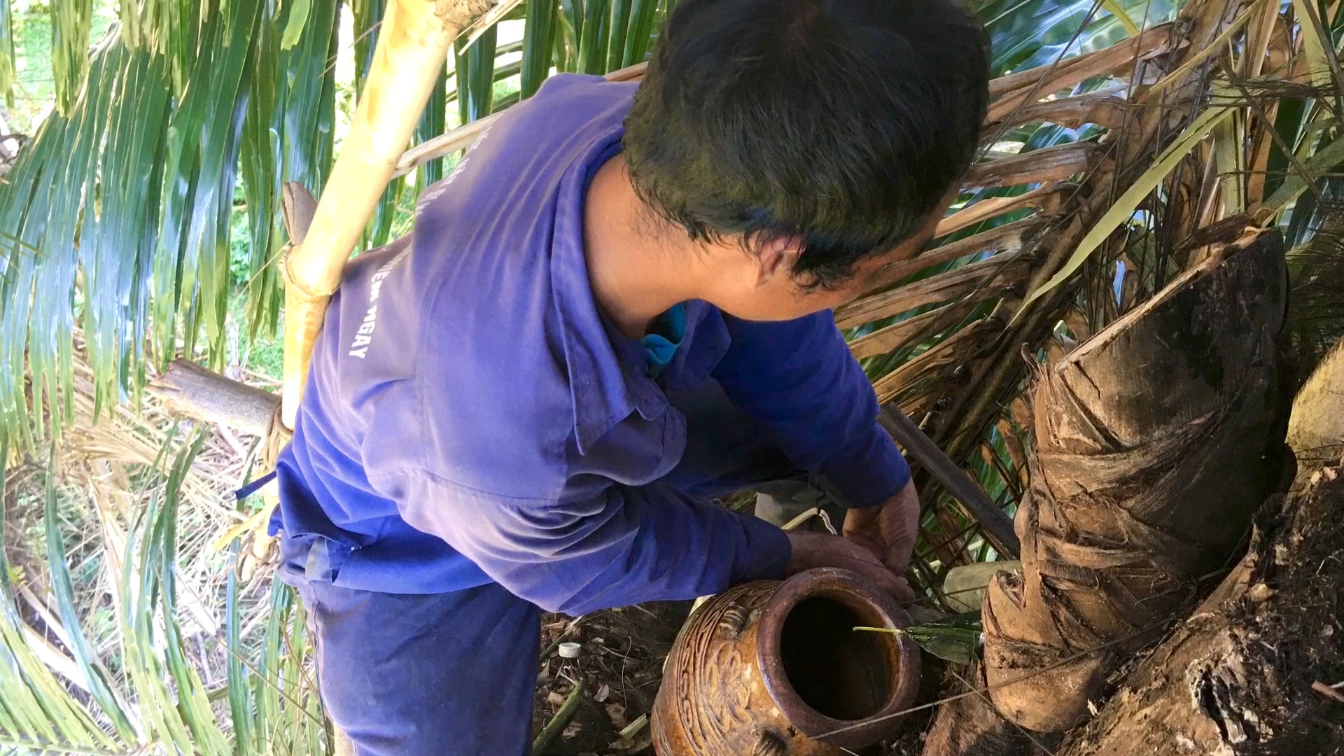 doc dao thuc uong tu cay rung cua nguoi ba na hinh 2