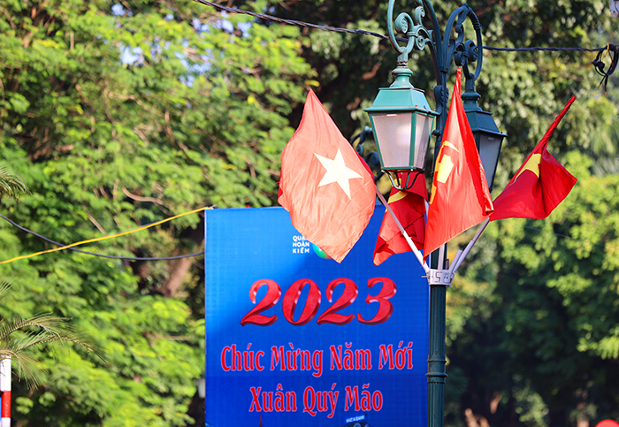 ha noi ruc ro co hoa don tet quy mao nam 2023 hinh 15