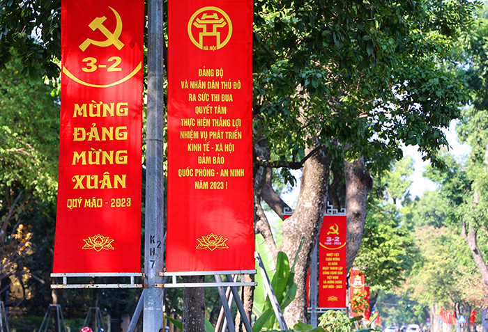 ha noi ruc ro co hoa don tet quy mao nam 2023 hinh 14