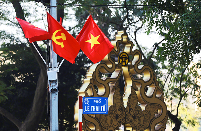 ha noi ruc ro co hoa don tet quy mao nam 2023 hinh 6