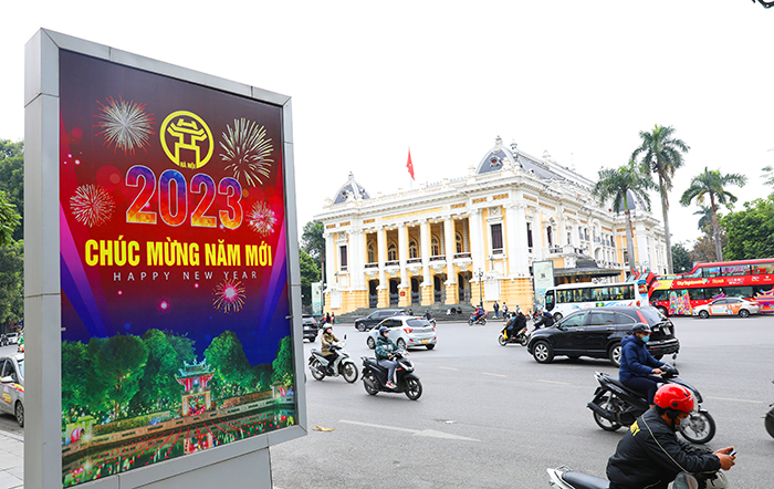 ha noi ruc ro co hoa don tet quy mao nam 2023 hinh 7