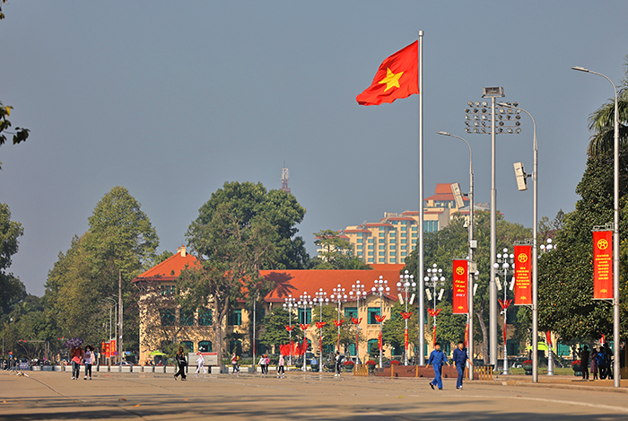 ha noi ruc ro co hoa don tet quy mao nam 2023 hinh 1