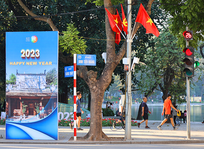 ha noi ruc ro co hoa don tet quy mao nam 2023 hinh 4