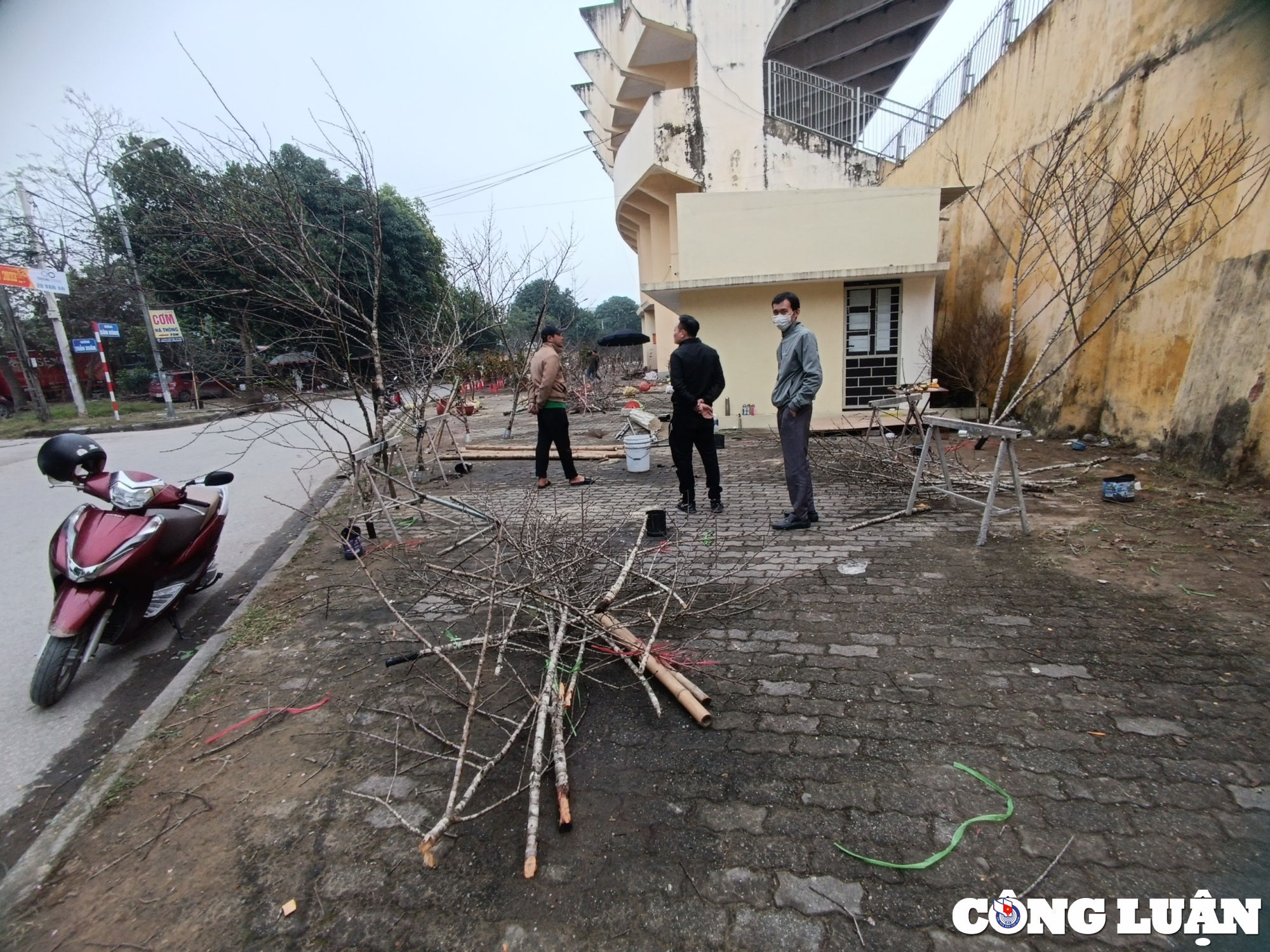 nghe an cay canh sale khung van vang khach tieu thuong chat bo nghi tet som hinh 10