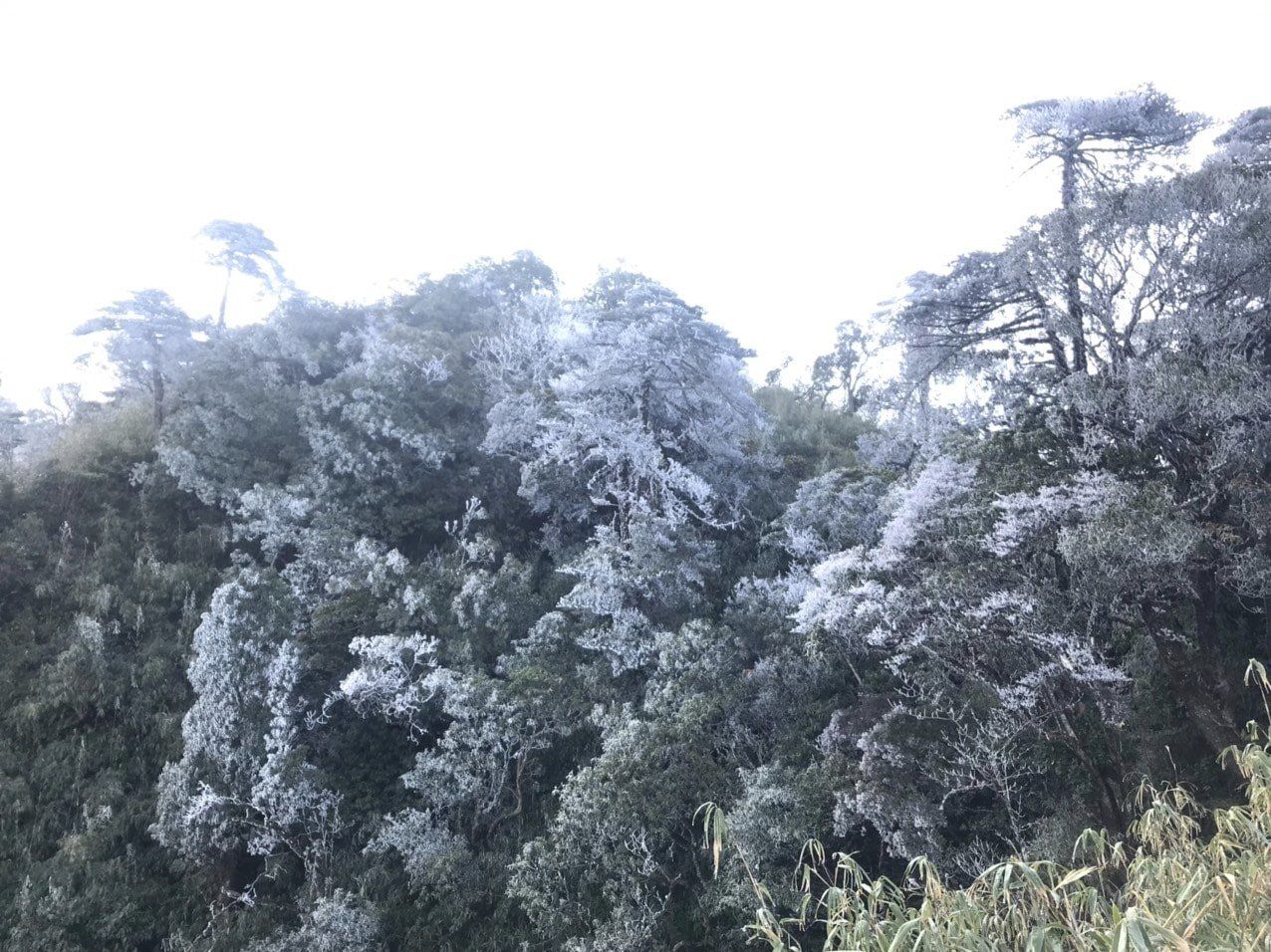 bang tuyet xuat hien tren dinh fansipan sa pa hinh 2