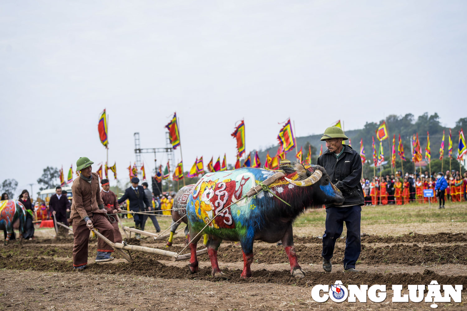 dau nam tai hien nghi le vua xuong ruong di cay tai le hoi tich dien doi son hinh 10