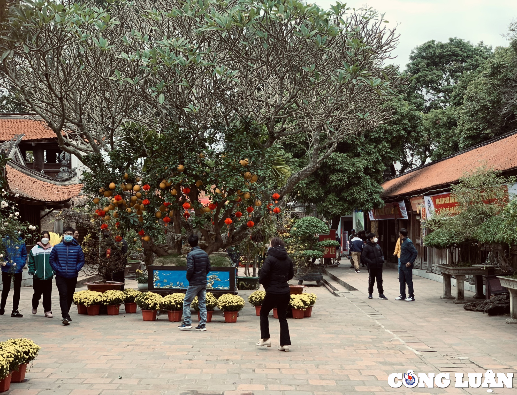 kham pha khong gian ngoi chua co vinh nghiem tai bac giang hinh 8