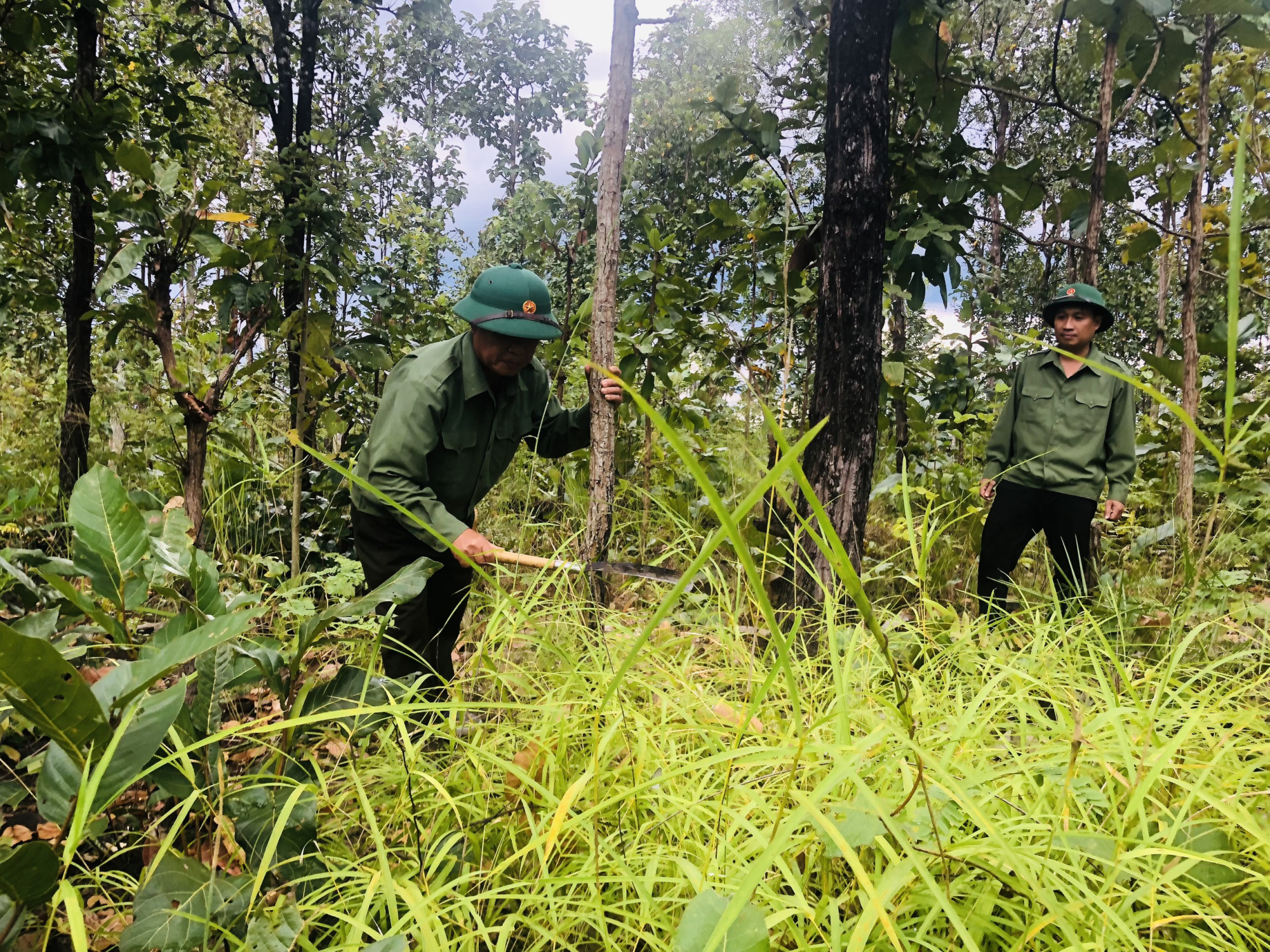 gia lai nhung can bo danh tron thanh xuan de giu rung hinh 4