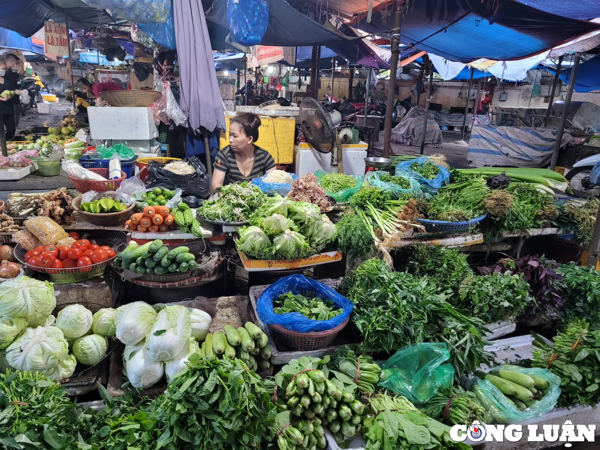 thi truong thuc pham sau tet nguon cung doi dao gia ca on dinh hinh 1