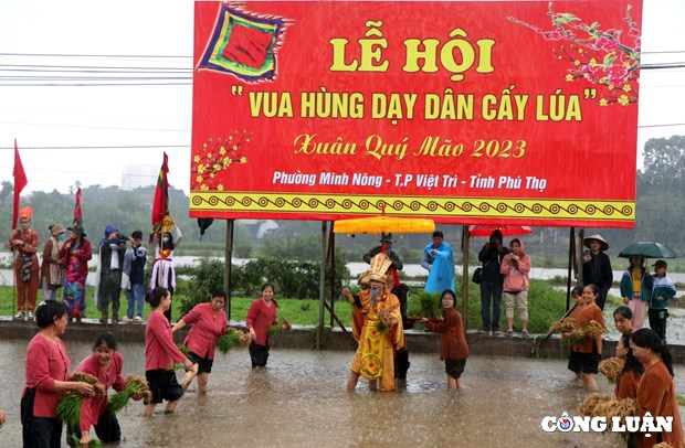 doc dao le hoi vua hung day dan cay lua o phu tho hinh 4