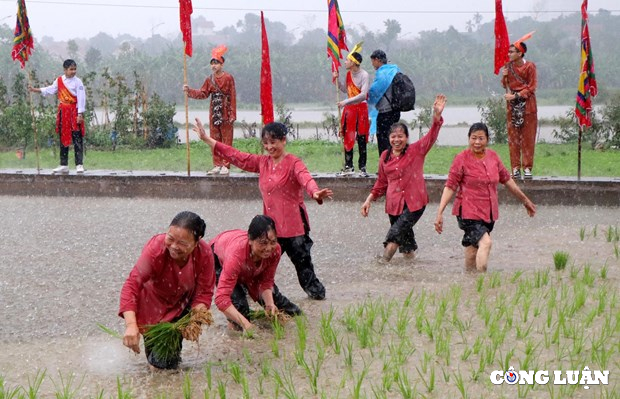 doc dao le hoi vua hung day dan cay lua o phu tho hinh 6