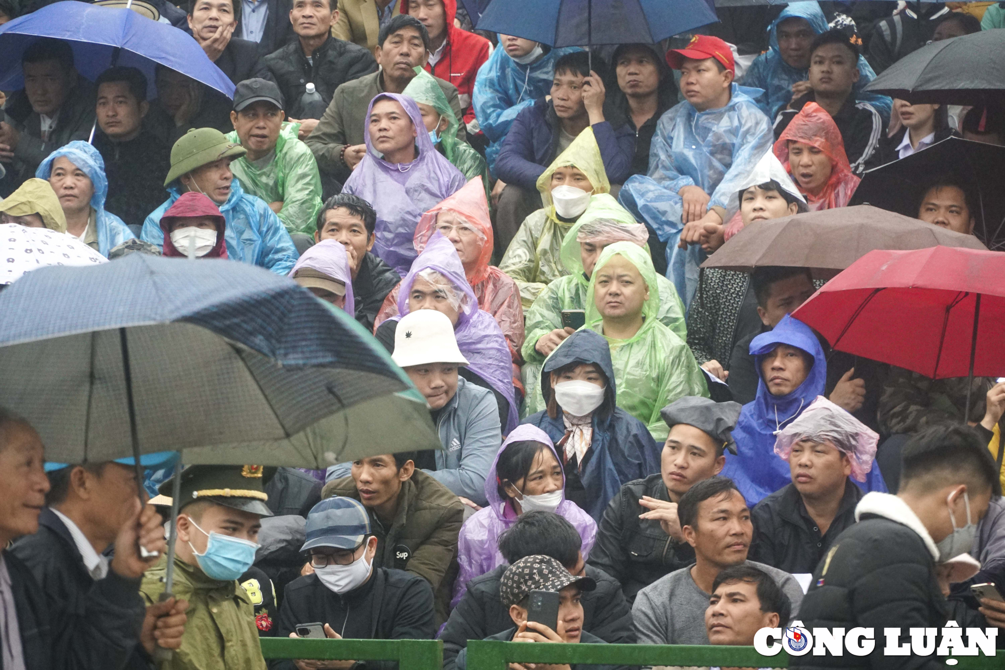 hang van nguoi dan doi mua xem choi trau truyen thong o vinh phuc hinh 3