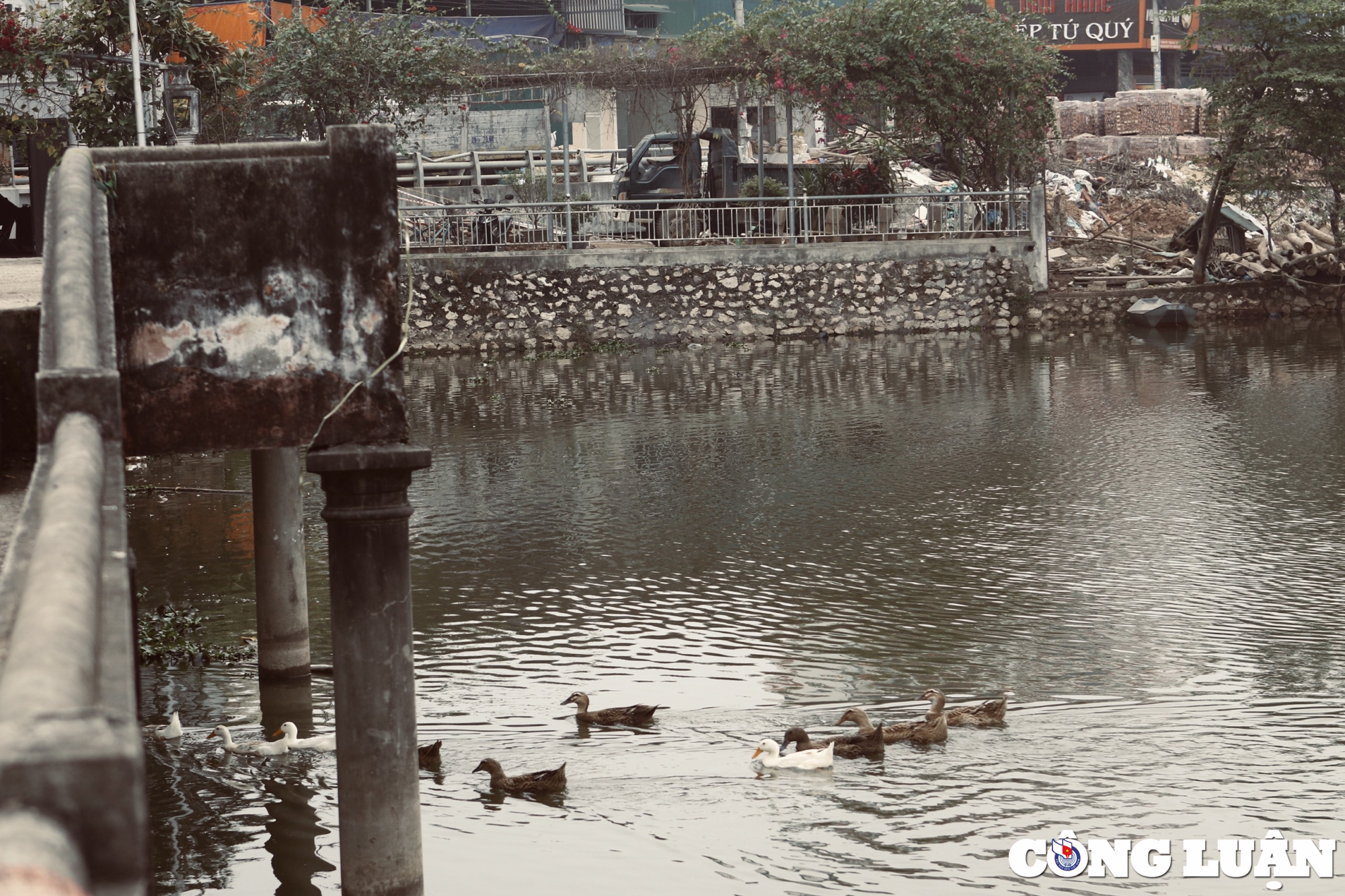 kham pha kien truc cay cau khum co hinh thuyen nan up nguoc tai ha noi hinh 8