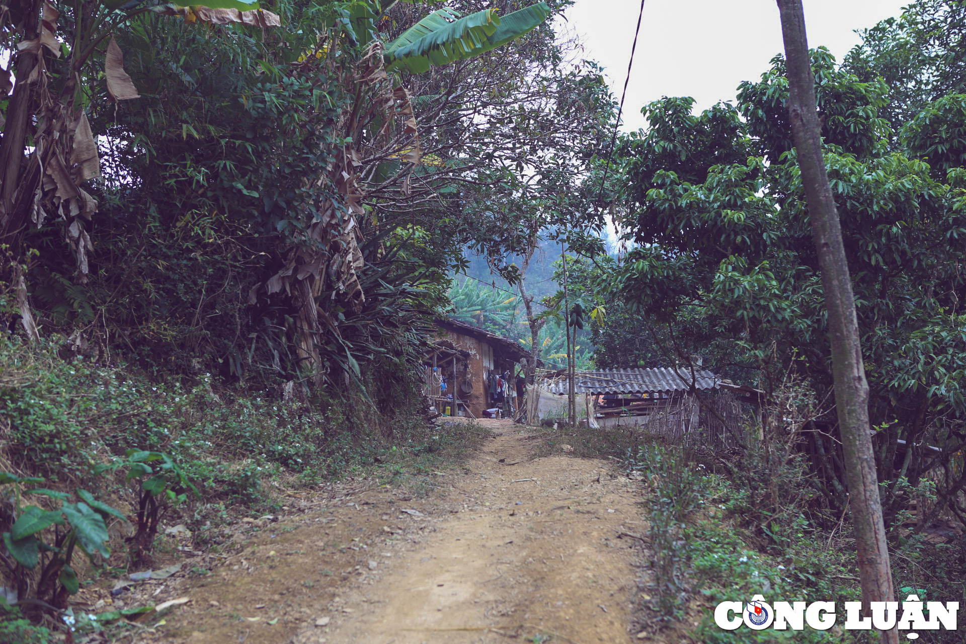 bac giang chiem nguong ve dep binh di nen tho cua ban bac hoa hinh 10