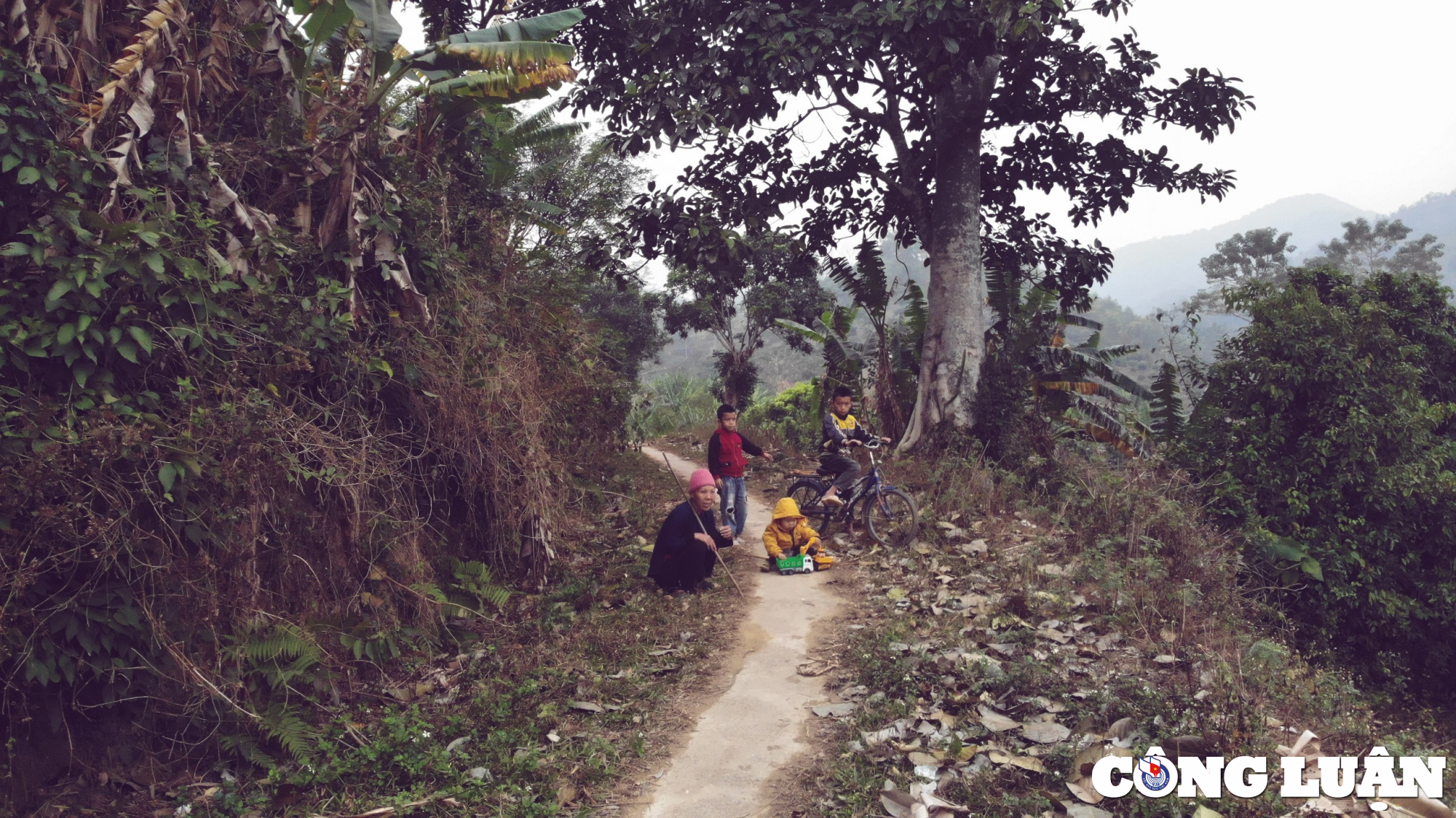 bac giang chiem nguong ve dep binh di nen tho cua ban bac hoa hinh 9