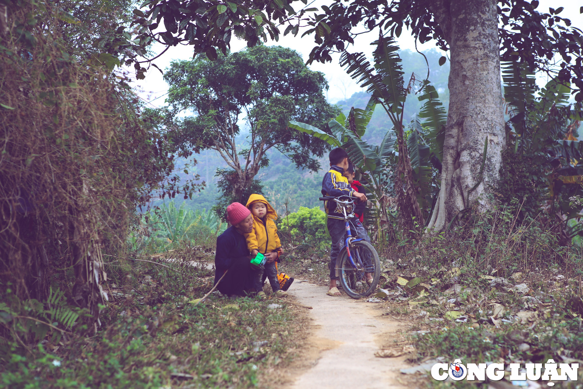 bac giang chiem nguong ve dep binh di nen tho cua ban bac hoa hinh 11