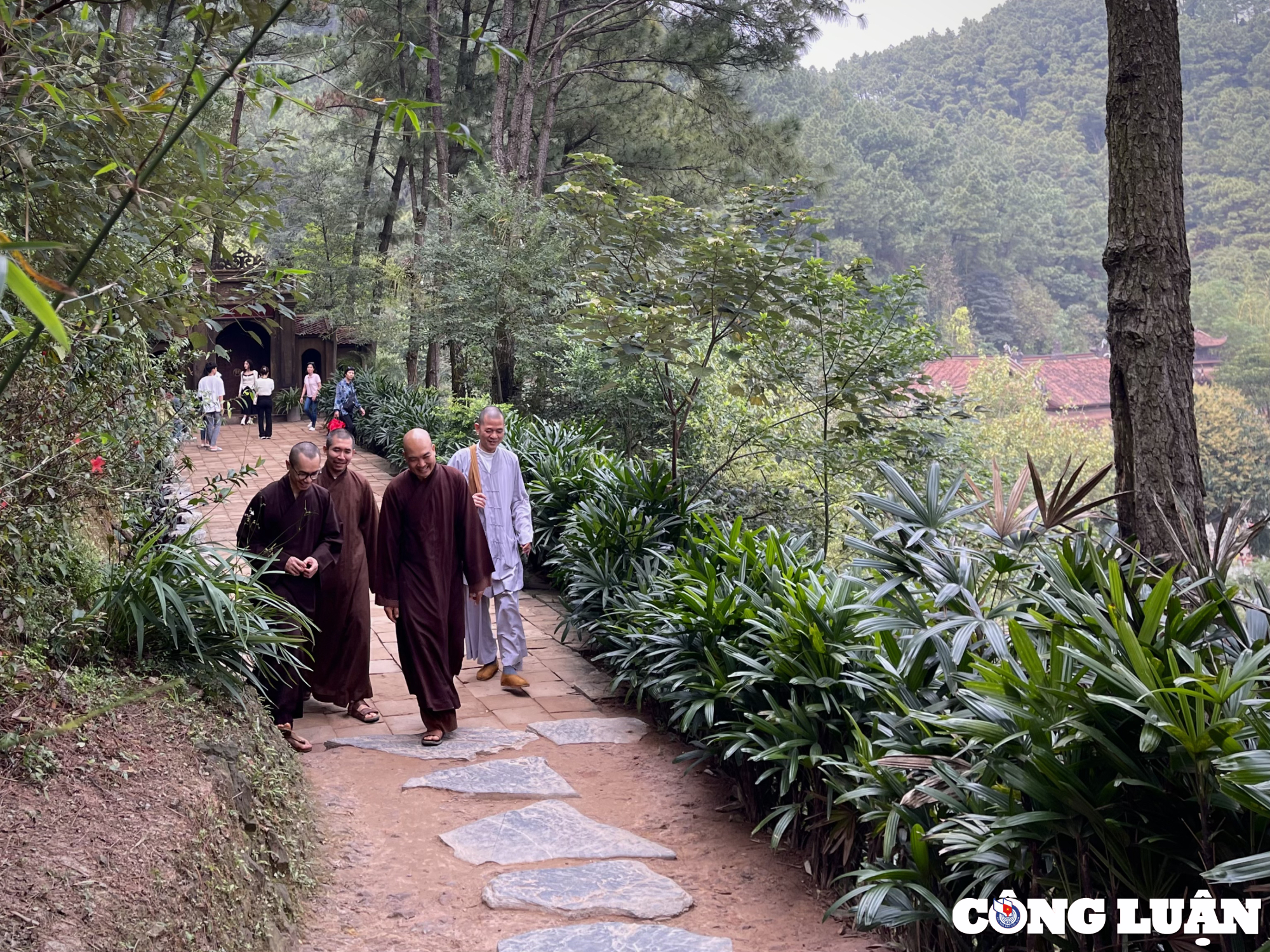 chua dung dia tang phi lai tu noi tien canh an lac tai ha nam hinh 16