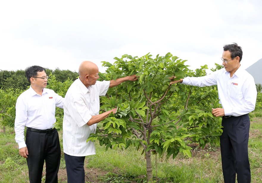 nguon von agribank chap canh cho nhung uoc mo lon cua nguoi nong dan hinh 1