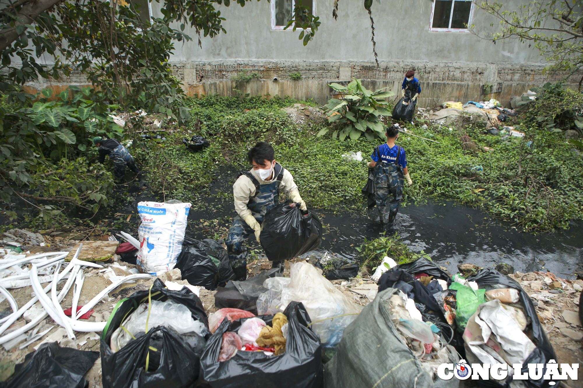 biet doi xanh ngam minh trong dong nuoc den ngom hang gio loi bun don rac hinh 12