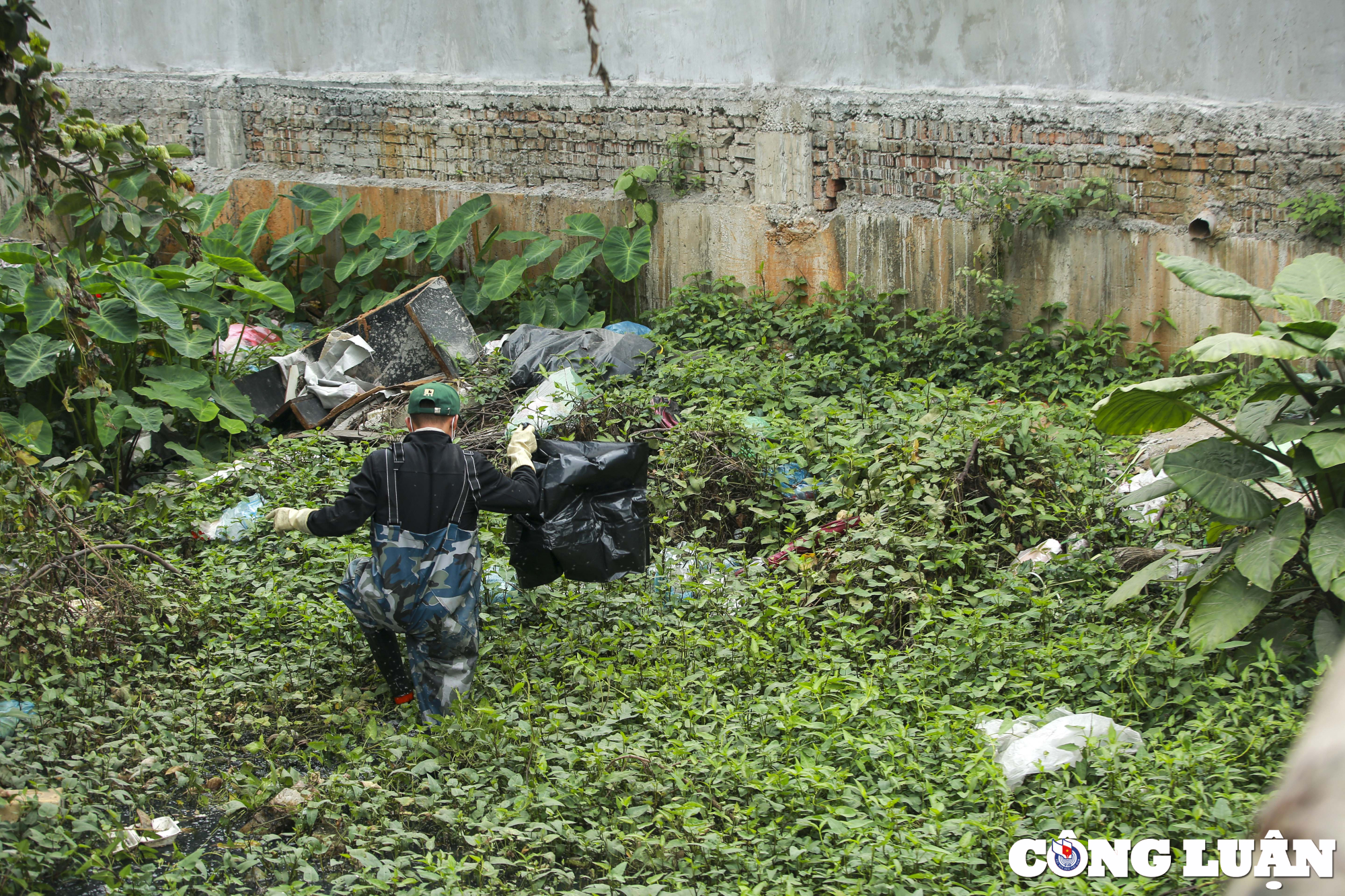 biet doi xanh ngam minh trong dong nuoc den ngom hang gio loi bun don rac hinh 4