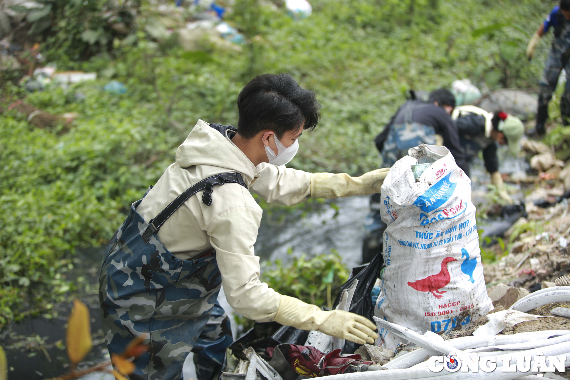 biet doi xanh ngam minh trong dong nuoc den ngom hang gio loi bun don rac hinh 11