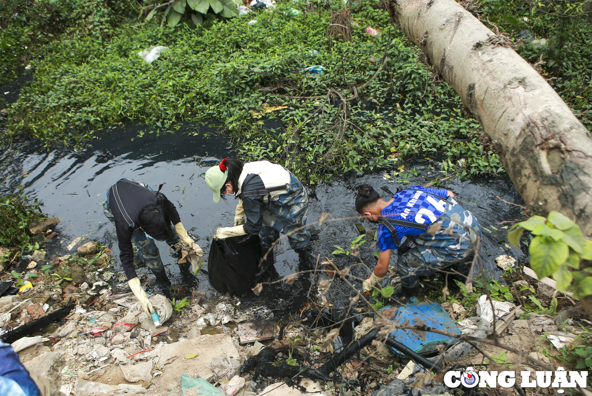 biet doi xanh ngam minh trong dong nuoc den ngom hang gio loi bun don rac hinh 8